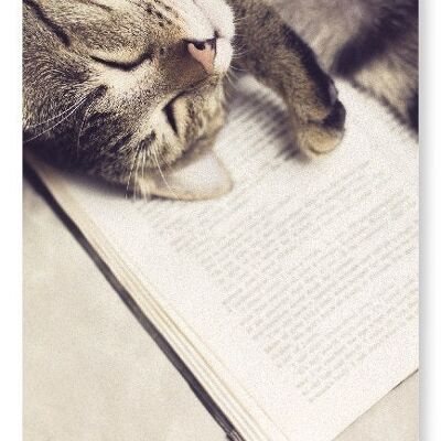 Katze und Buch Kunstdruck