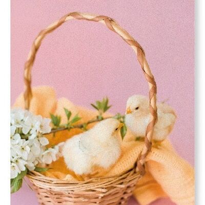 TWO CHICKS AND BASKET Art Print