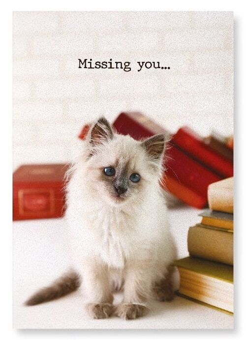 MISSING YOU KITTEN Art Print