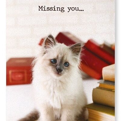 MISSING YOU KITTEN Art Print