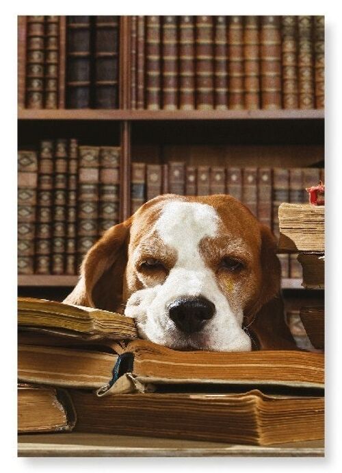 DOG OF LITERATURE Art Print