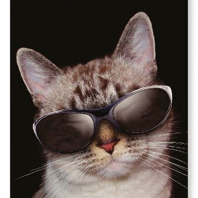 GATO FRESCO Lámina artística