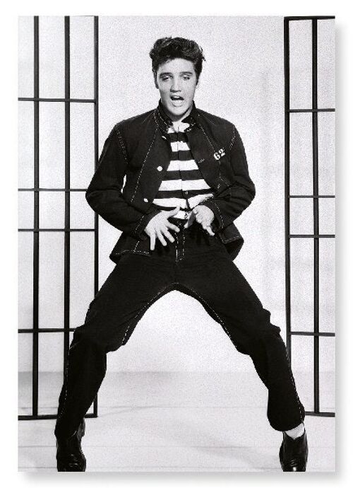 JAILHOUSE ROCK NO.2 Art Print