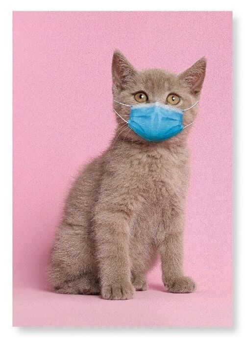 KITTEN WITH MASK Art Print