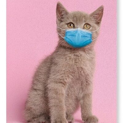 KITTEN WITH MASK Art Print