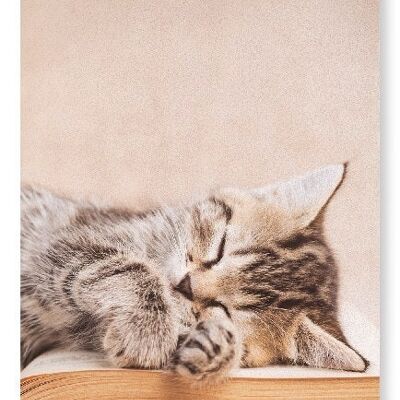 KITTEN SLEEPING ON A BOOK Art Print