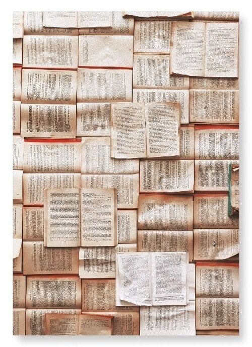 PAGES OF BOOKS Art Print