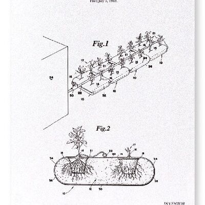 PATENTE DE CULTIVO DE PLANTAS 1971 Lámina artística