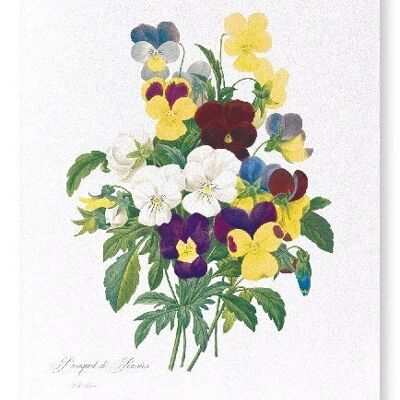 BUNCH OF PANSIES (COMPLETO): Stampa artistica