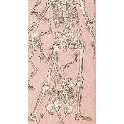 STUDY OF SKELETONS FRONT 1881  Japanese Bookmark