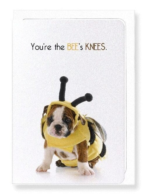 THE BEE'S KNEES Greeting Card