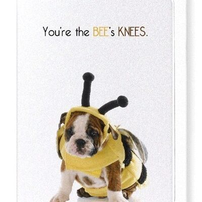 THE BEE'S KNEES Greeting Card