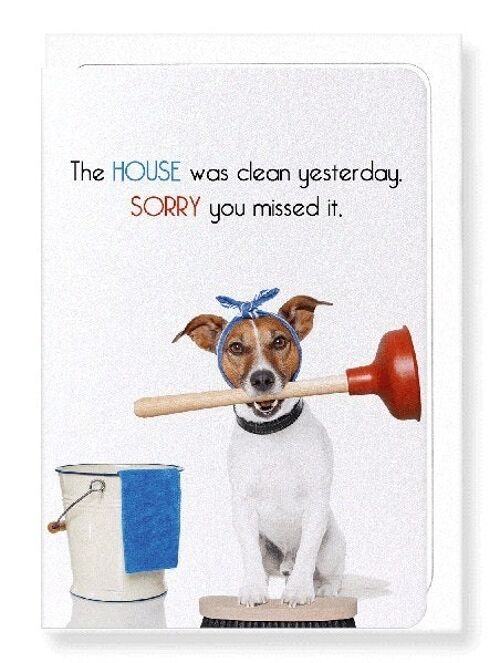 HOUSE CLEANING Greeting Card