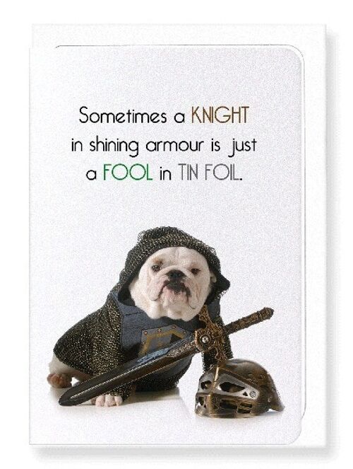 FOOL IN TIN FOIL Greeting Card