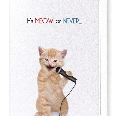 IT'S MEOW OR NEVER Greeting Card