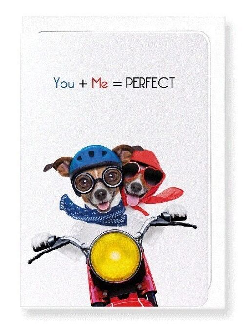 YOU + ME = PERFECT Greeting Card