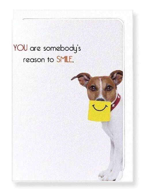 SOMEBODY'S REASON TO SMILE Greeting Card