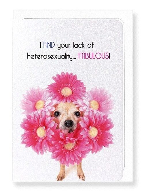 I FIND YOU FABULOUS Greeting Card