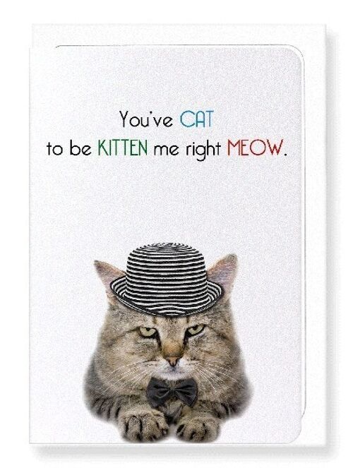 YOU'VE CAT TO BE KITTEN ME Greeting Card