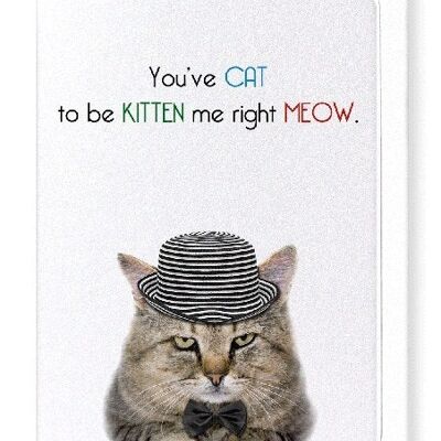 YOU'VE CAT TO BE KITTEN ME Greeting Card
