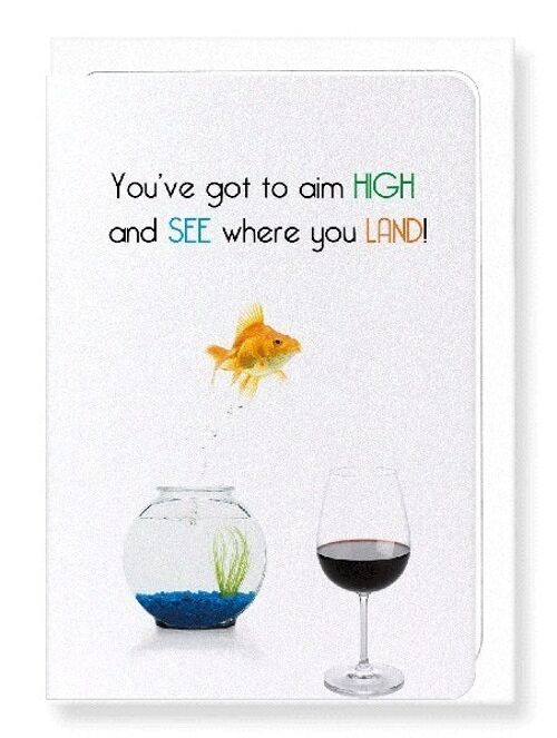 AIM HIGH Greeting Card