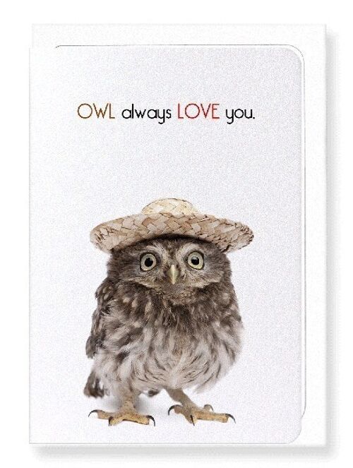 OWL ALWAYS LOVE YOU Greeting Card