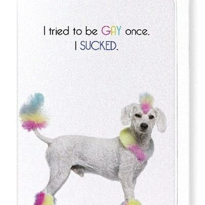 I SUCKED Greeting Card