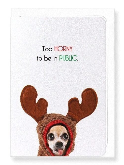 TOO HORNY TO BE IN PUBLIC Greeting Card