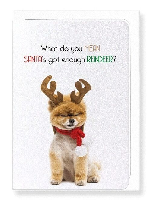 ENOUGH REINDEER  Greeting Card