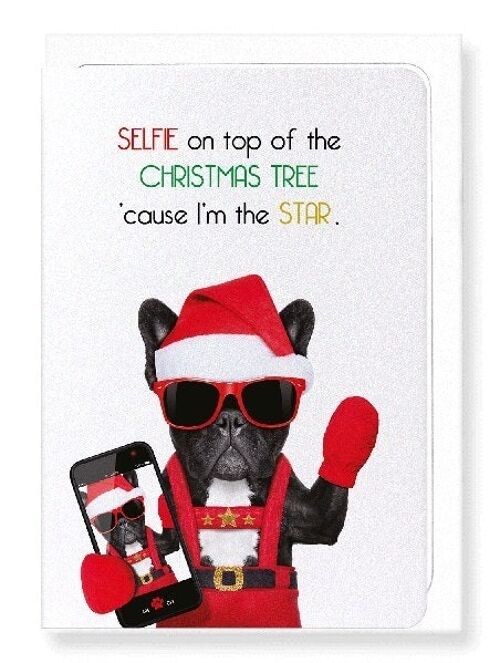 SELFIE ON CHRISTMAS TREE Greeting Card