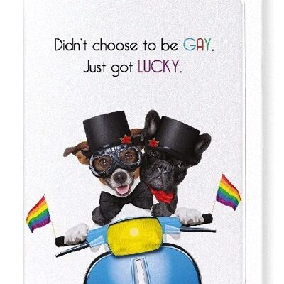 LUCKY AND GAY Greeting Card