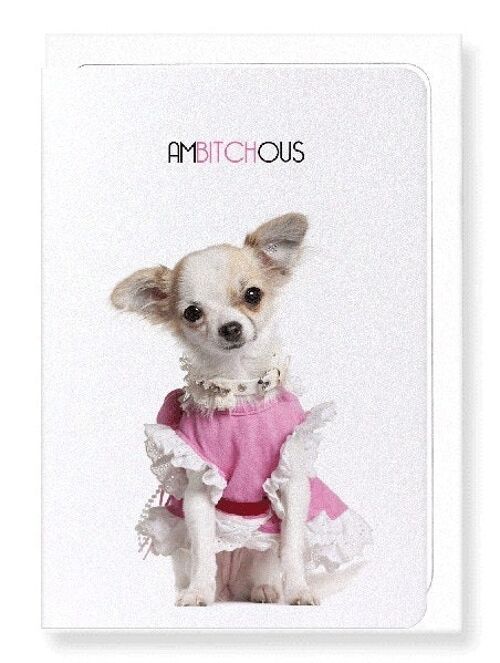 AMBITCHOUS Greeting Card