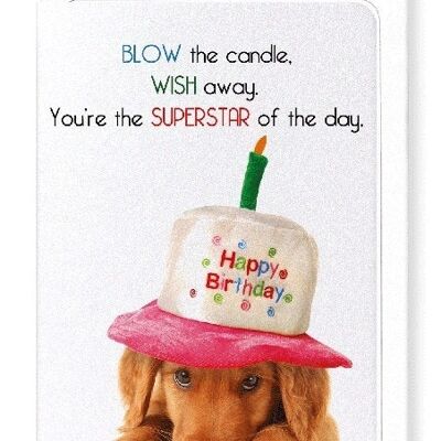 BLOW AND MAKE A WISH Greeting Card