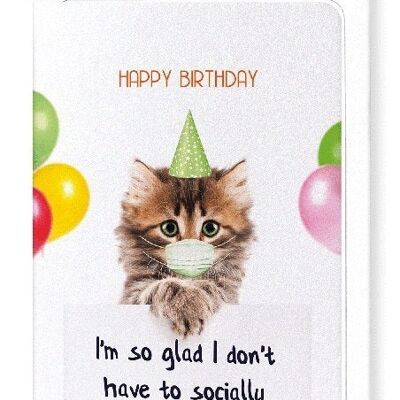 BIRTHDAY CORONA KITTEN Greeting Card