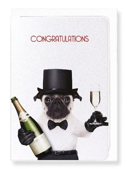 CONGRATULATIONS FROM MR PUG Greeting Card
