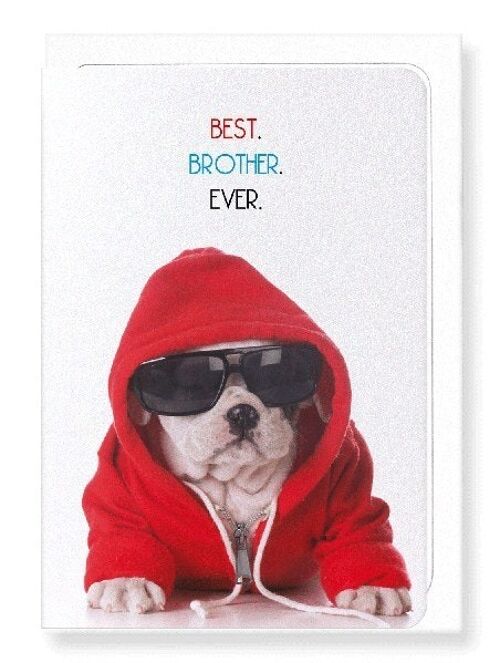 BEST BROTHER EVER Greeting Card