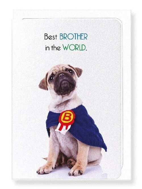 BEST BROTHER IN THE WORLD Greeting Card