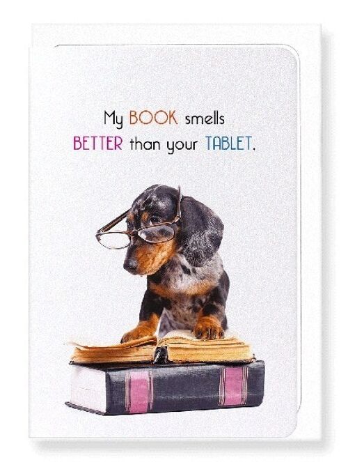 BOOKS SMELL BETTER Greeting Card