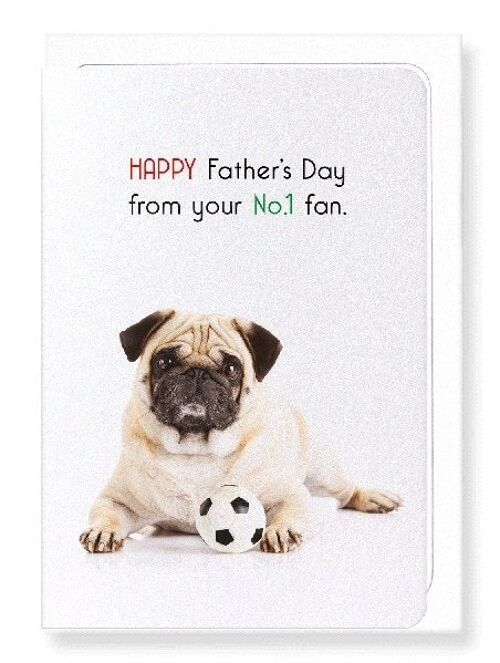 FATHER'S DAY NO.1 FAN Greeting Card