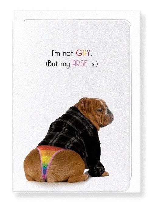 I'M NOT GAY Greeting Card