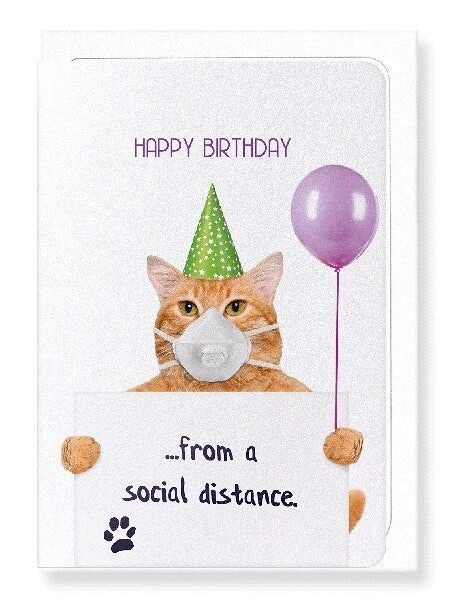 BIRTHDAY CORONA CAT Greeting Card