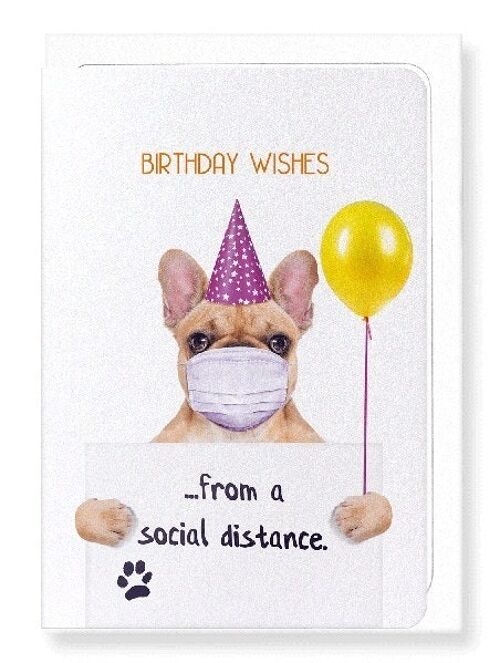 BIRTHDAY FRENCHIE FROM A DISTANCE Greeting Card