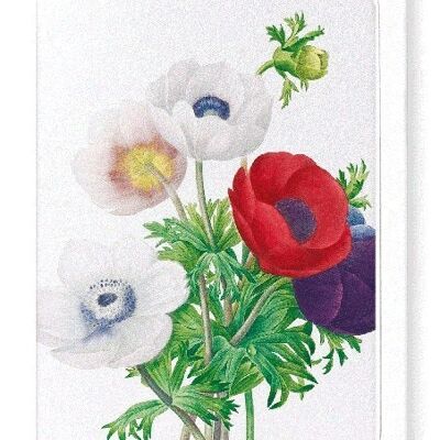 ANEMONE (DÉTAIL): Carte de vœux