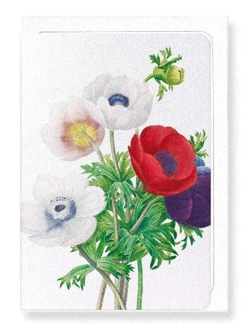 ANEMONE (DÉTAIL): Carte de vœux 1