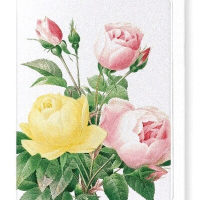 YELLOW AND PINK ROSE (DETAIL): Greeting Card