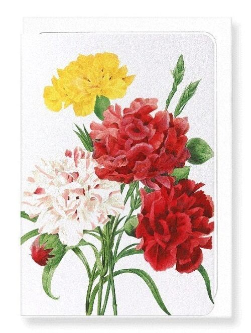 CARNATION (DETAIL): Greeting Card