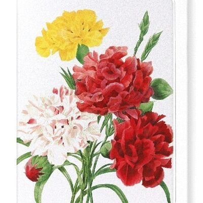 CARNATION (DETAIL): Greeting Card