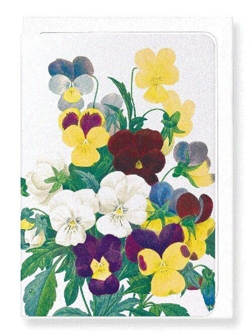 BUNCH OF PANSIES (DETAIL): Greeting Card