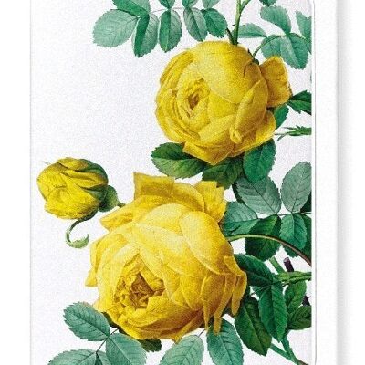 YELLOW ROSES (DETAIL): Greeting Card