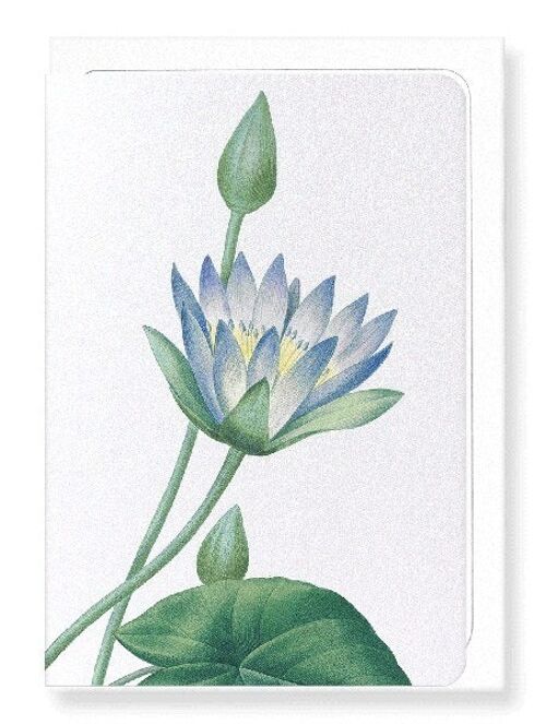 BLUE LOTUS (DETAIL): Greeting Card